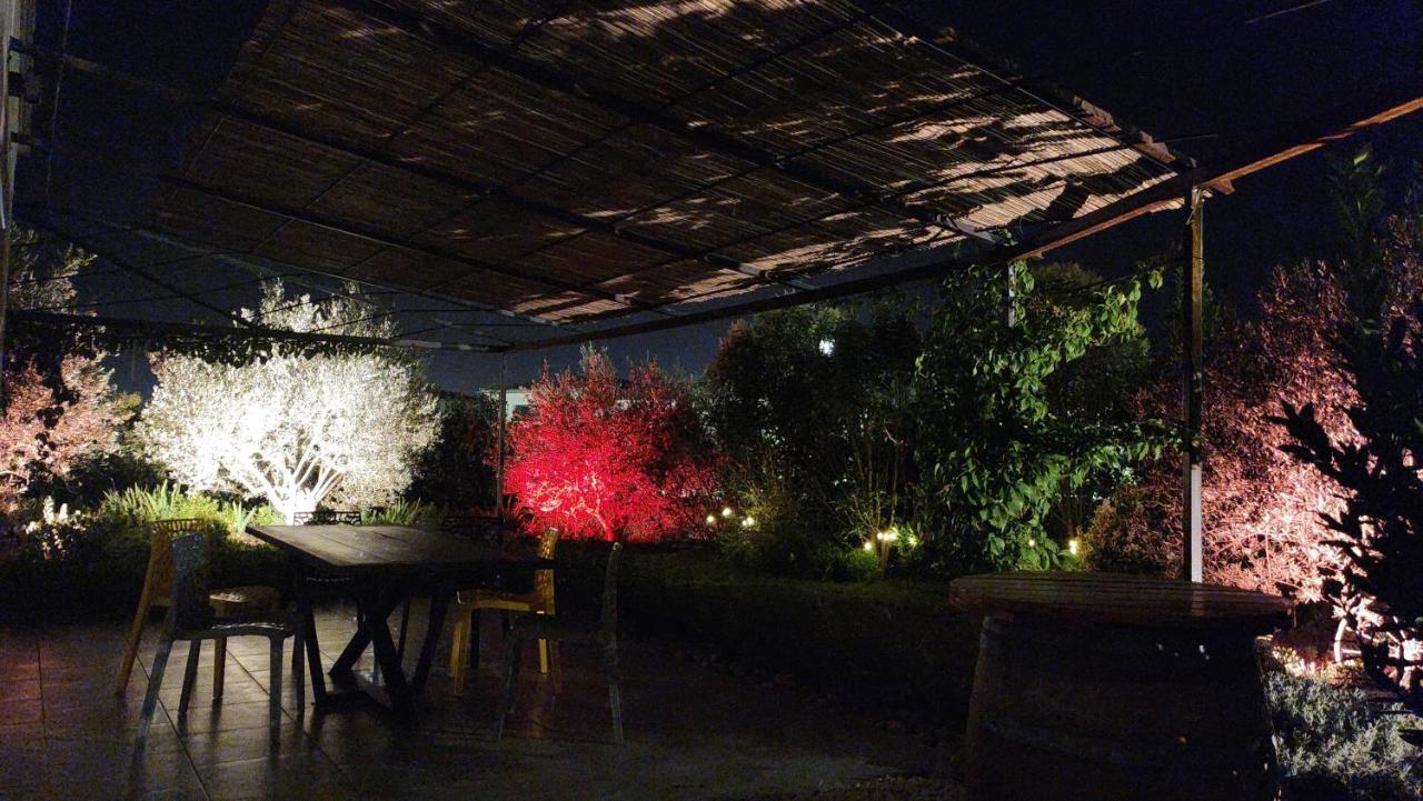 A 2 Pas Des Vignes, Hebergements Et Spa, Maison Numero 6, A Chateauneuf Du Pape Экстерьер фото